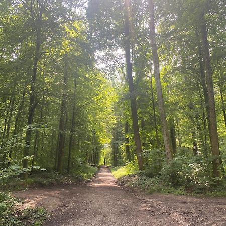 Sonnenschein Lejlighed Baden-Baden Eksteriør billede